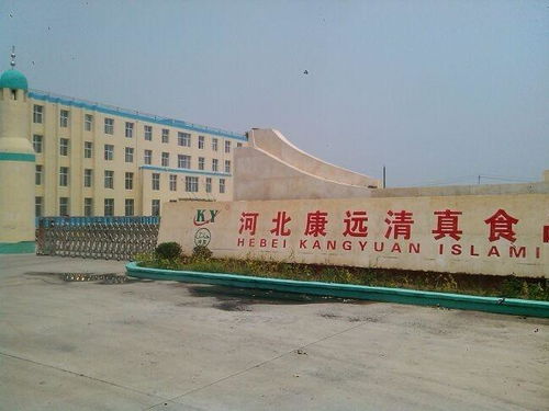 河北康遠與雨軒齋 清真食品行業的雙星輝映