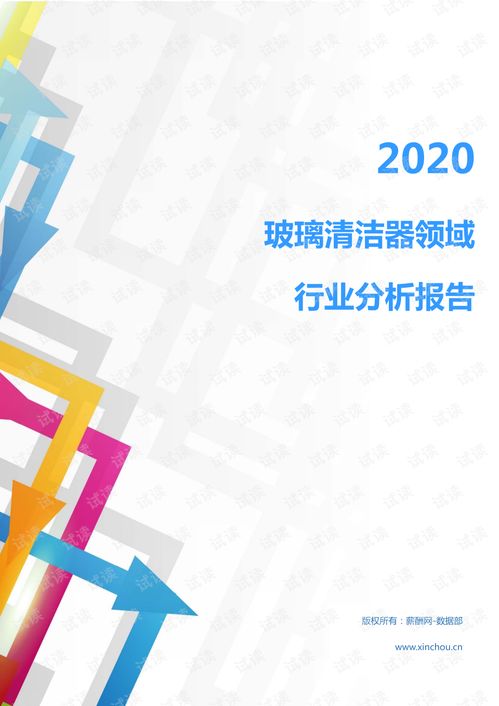 2020年家電家居清潔用品行業(yè)玻璃清潔器領域行業(yè)分析報告 市場調(diào)查報告 .pdf